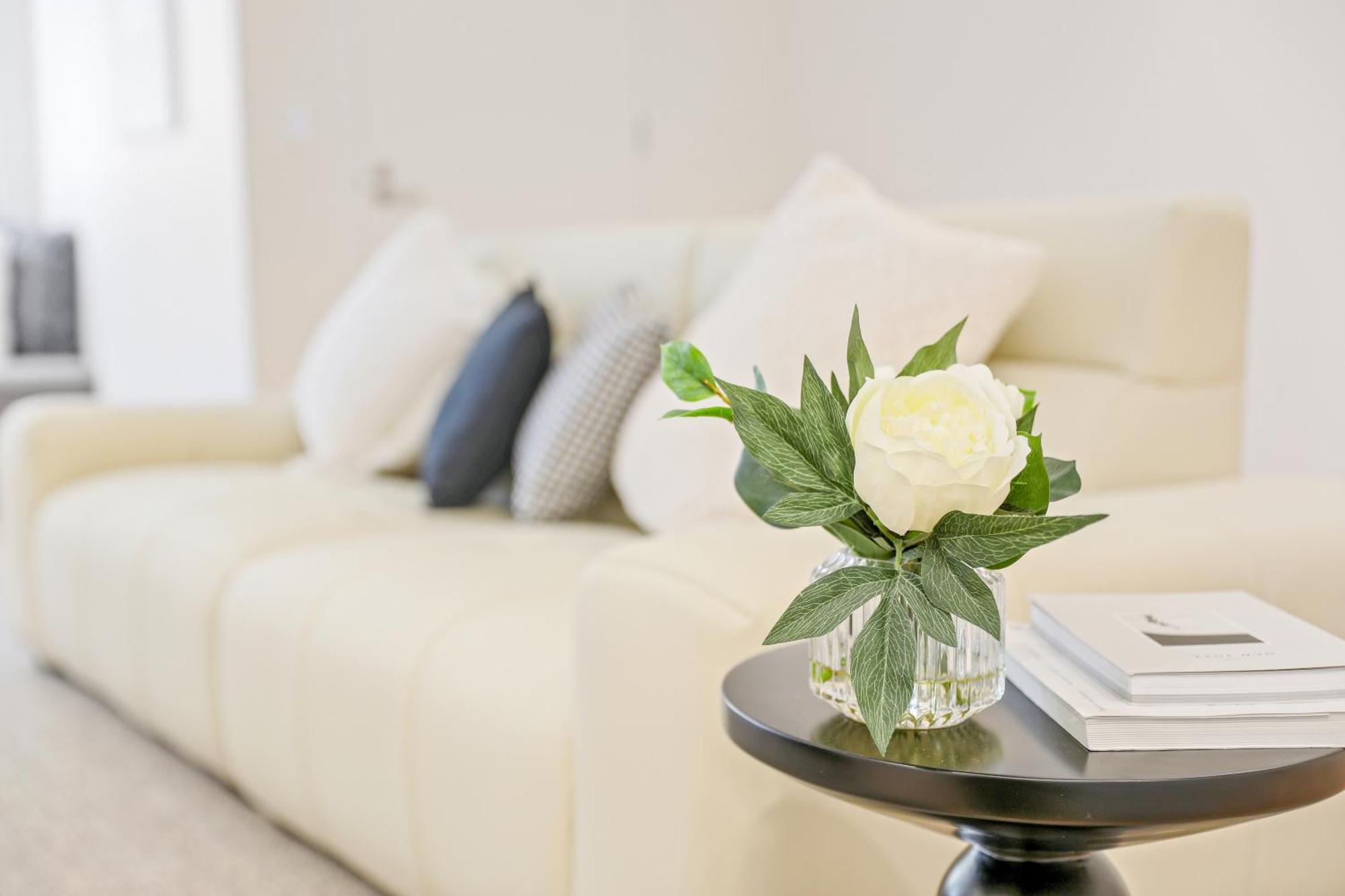 Apartment Stanley Lane Darlinghurst